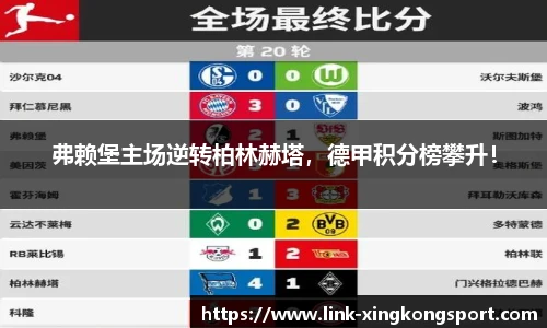 星空体育官网