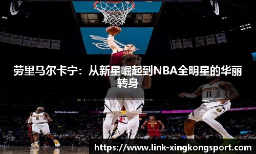 星空体育官网